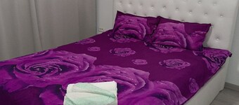 Inviting 1-bed House in Roșu