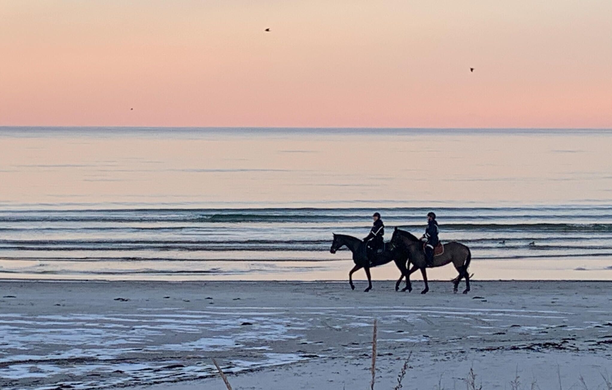 Nära stranden