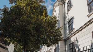 A bench along a tree-lined sidewalk with a building on one side. - H11 Aparthotel (Kraków)
