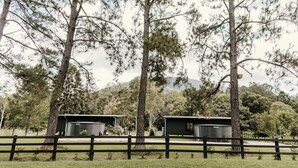 A rustic cabin with a metal roof, surrounded by tall pine trees and a wooden fence. - Contained in Nimbin (Nimbin)