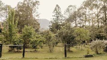 Ländliche Landschaft mit verschiedenen Bäumen und einer grünen Wiese.