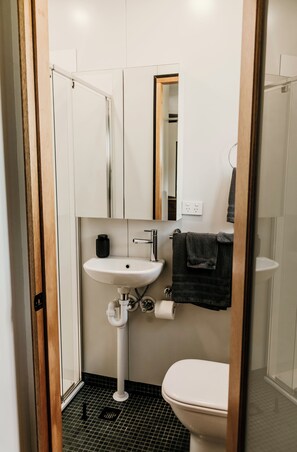 A compact bathroom with a white sink, a toilet, and a shower.