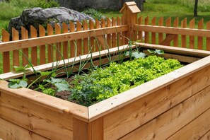 Jardines del alojamiento