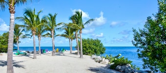 Aqua Lodge Rentals At Coconut Cay