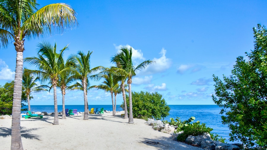 Aqua Lodge Rentals At Coconut Cay