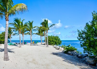 Aqua Lodge Rentals At Coconut Cay