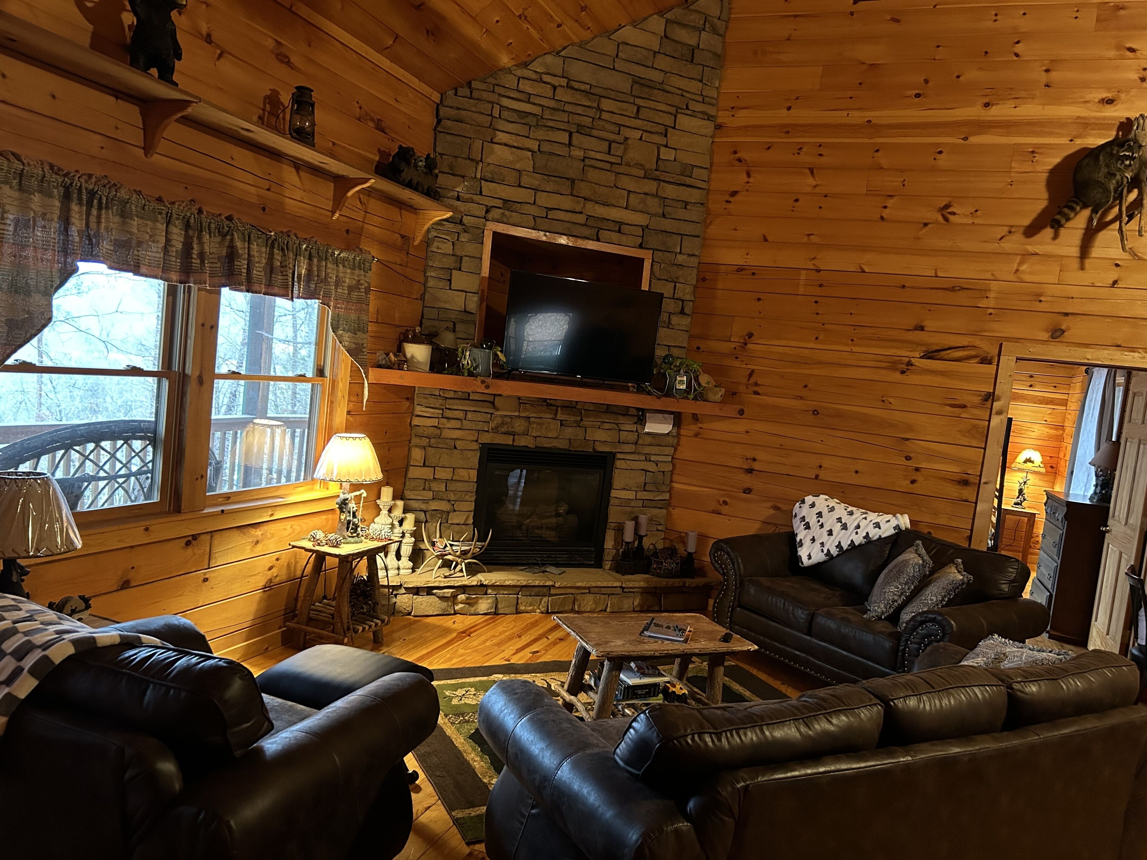 TV, fireplace