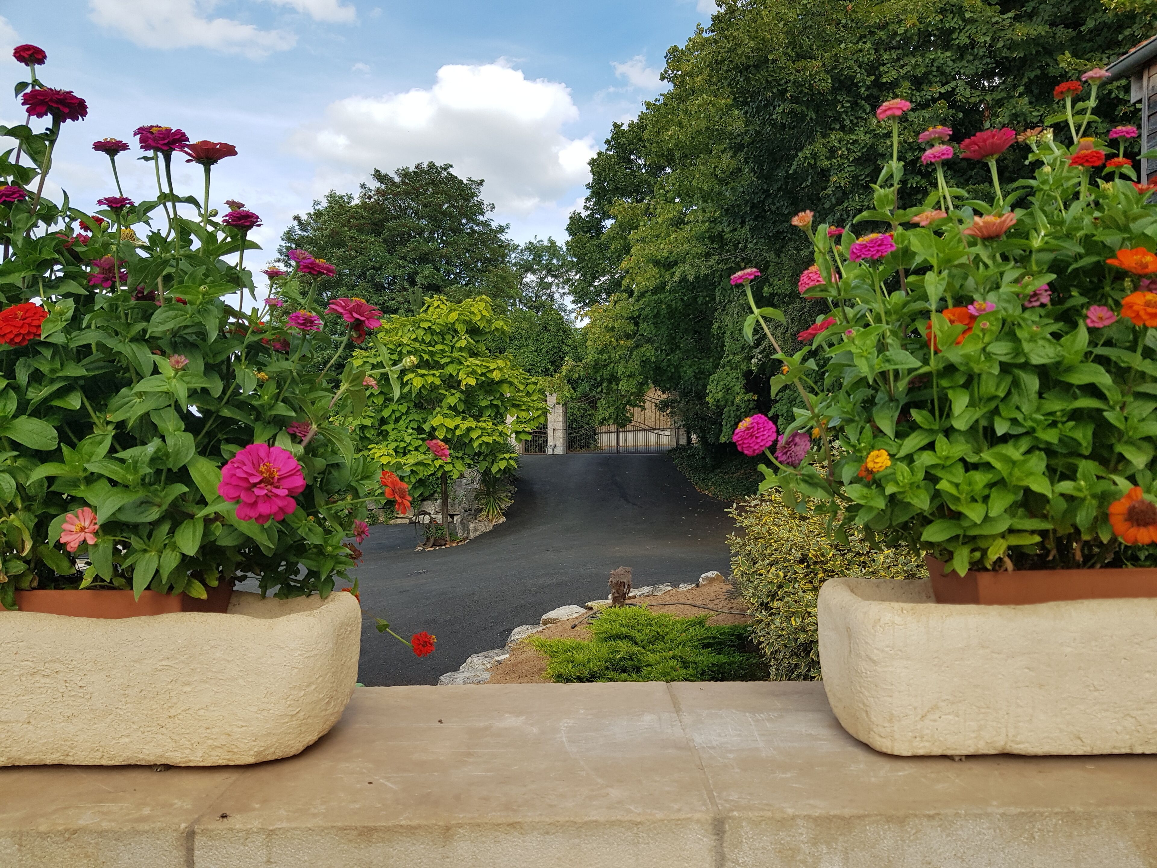 Parco della struttura