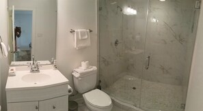 Combined shower/bathtub, hair dryer, towels, soap