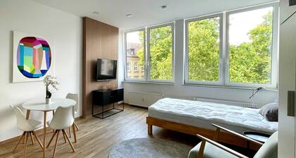 bright furnished 1 room apartment with elevator