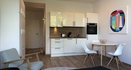 bright furnished 1 room apartment with elevator