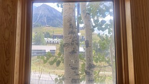 Una ventana con marco de madera que da a vista de árboles de abedul y una montaña al fondo.