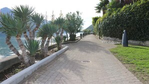 A paved walkway with a white border, lined with palm trees and shrubs, leading to a body of water. - 76thelakehouse (Melide)