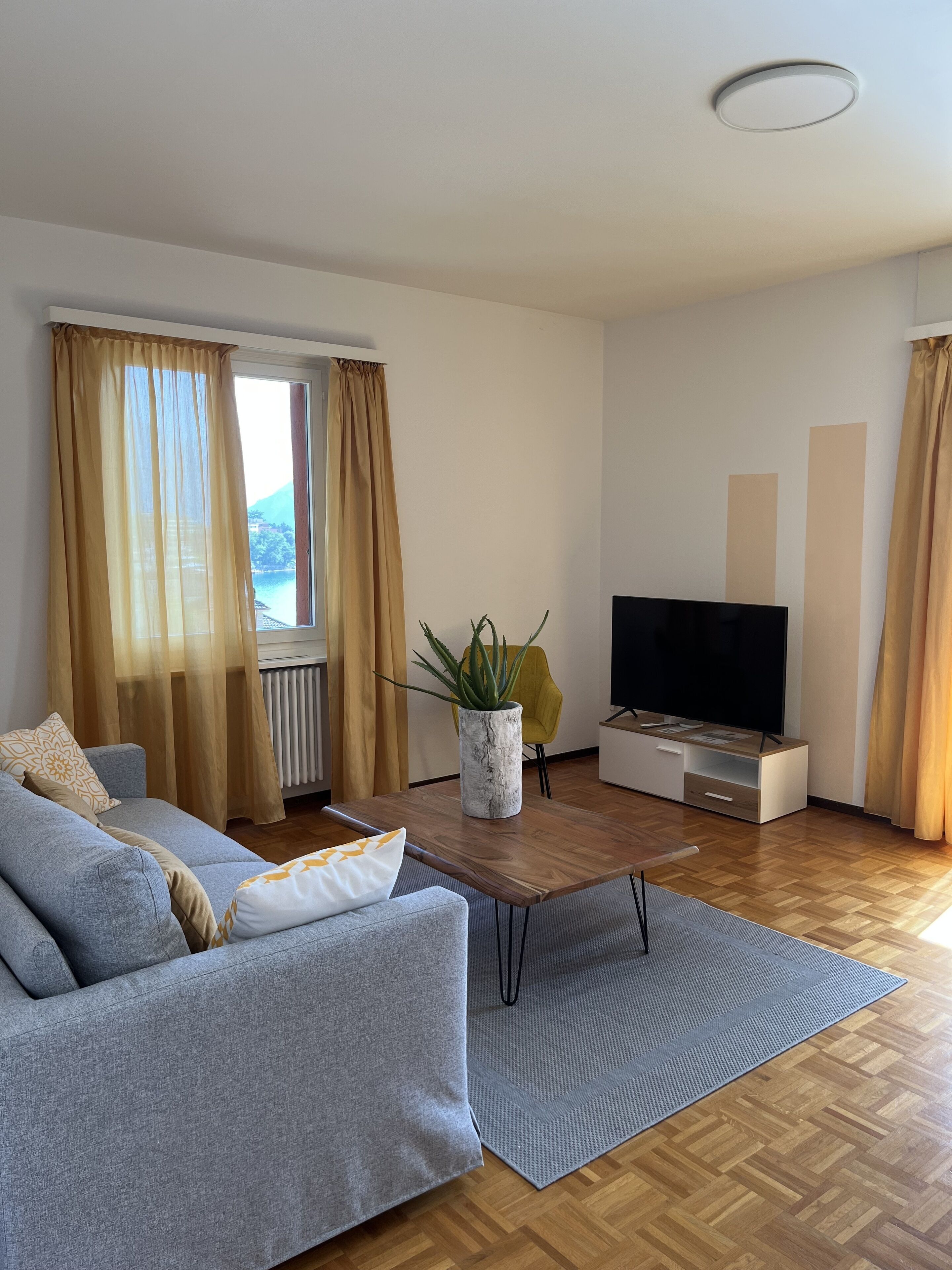 Ein modernes Wohnzimmer mit einem grauen Sofa, einem Couchtisch, einer TV-Bank und einer Topfpflanze.