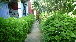 A pathway flanked by lush green foliage, leading to a building with a mural on the wall. - LA CASE A MAMY (Nianing)