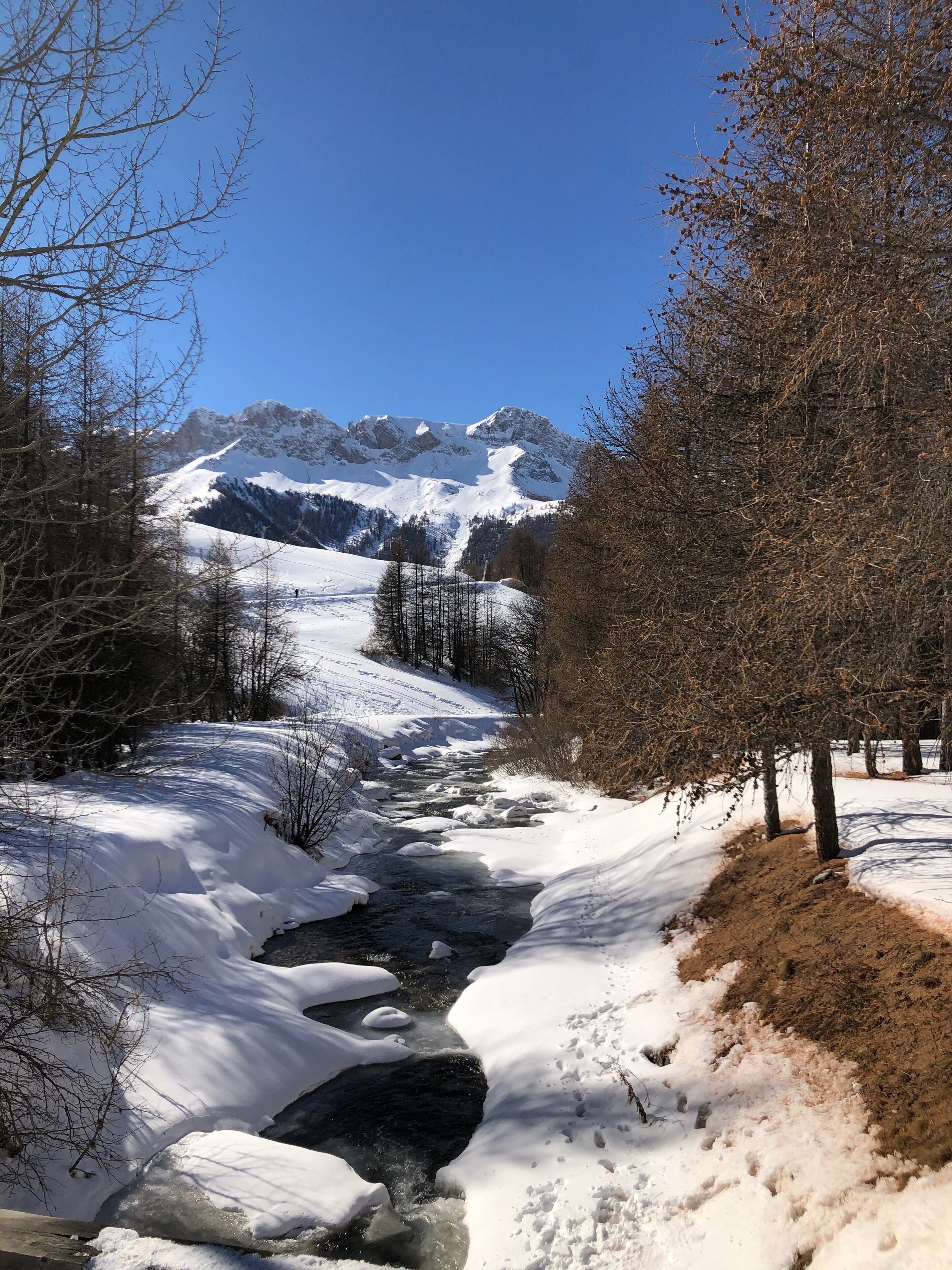 Un paysage enneigé avec un ruisseau, des arbres et des montagnes en arrière-plan.