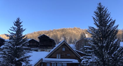 RDC Chalet facing the ski slopes, cross-country skiing, private parking l