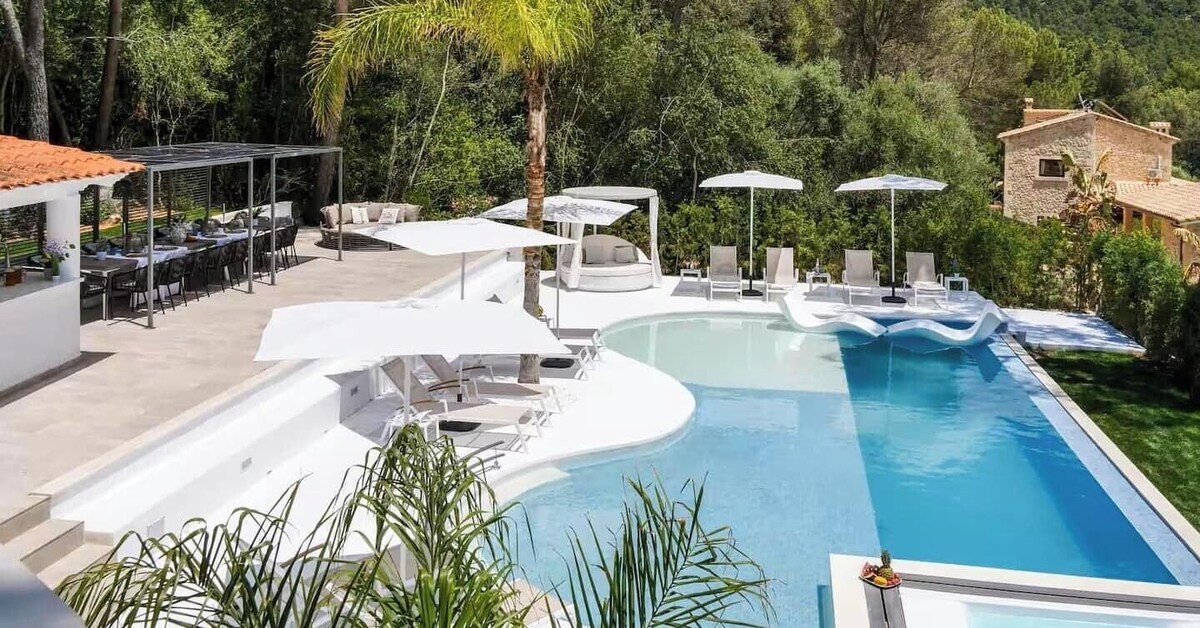 Imagen de perfil del propietario o de la propietaria