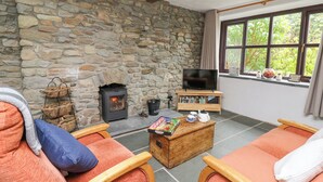 A cozy living room with stone walls, a fireplace, a television, and a window with a view of greenery. - Fisherman's Cottage (Llandysul)