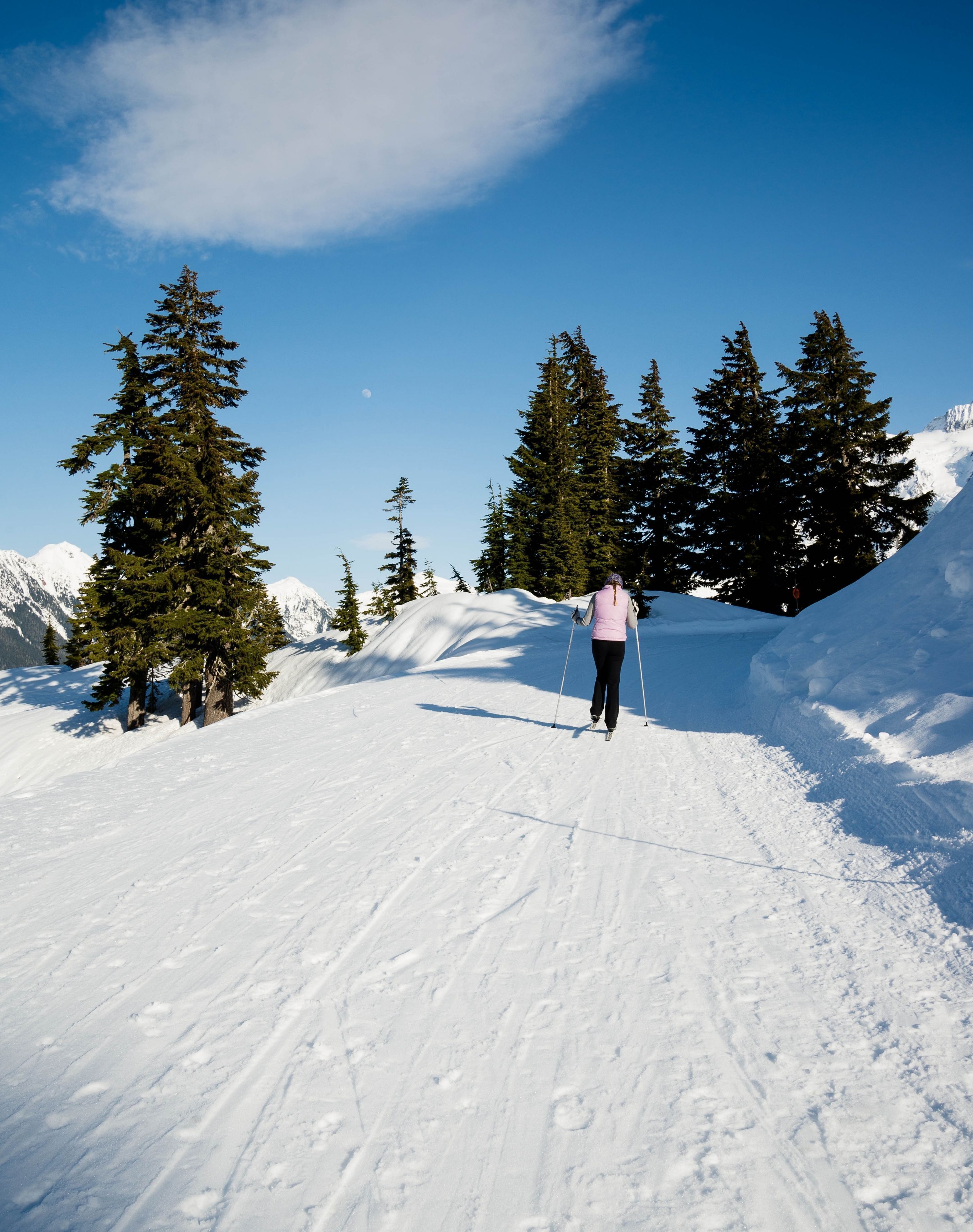 Iemand gaat langlaufen op een besneeuwde helling, met bomen en bergen op de achtergrond.