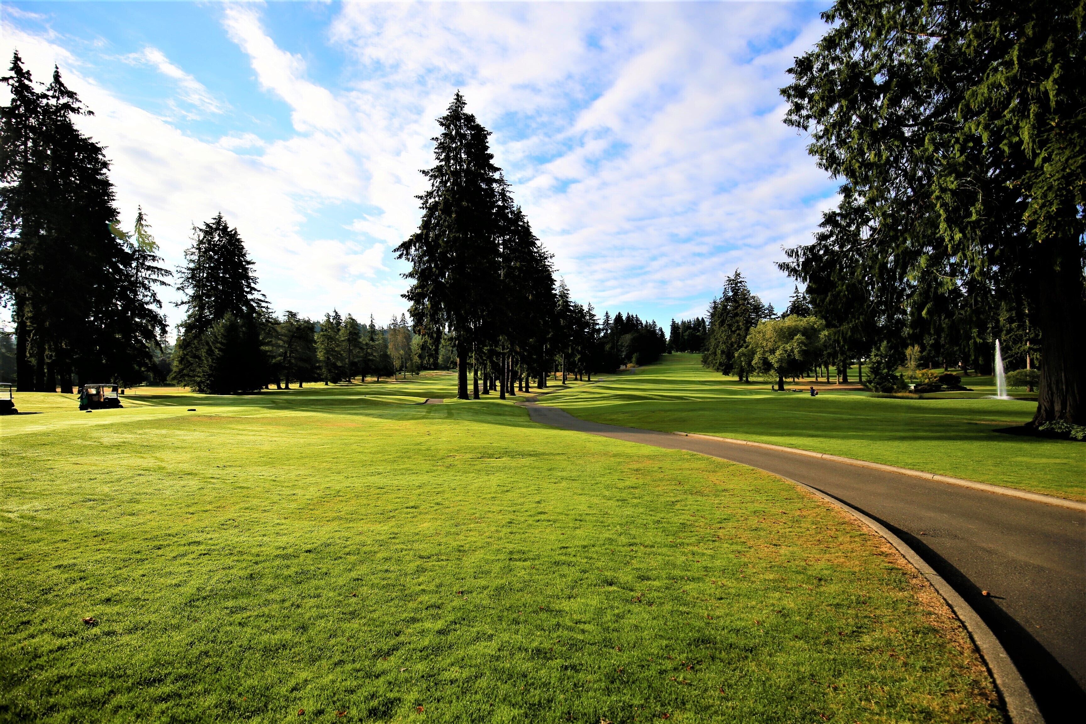 A golf course with a well-maintained green, a winding path, and tall trees.