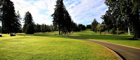 A golf course with a well-maintained green, a winding path, and tall trees.