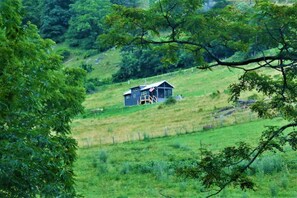 Immagine non classificata, 3 di 24, pulsante