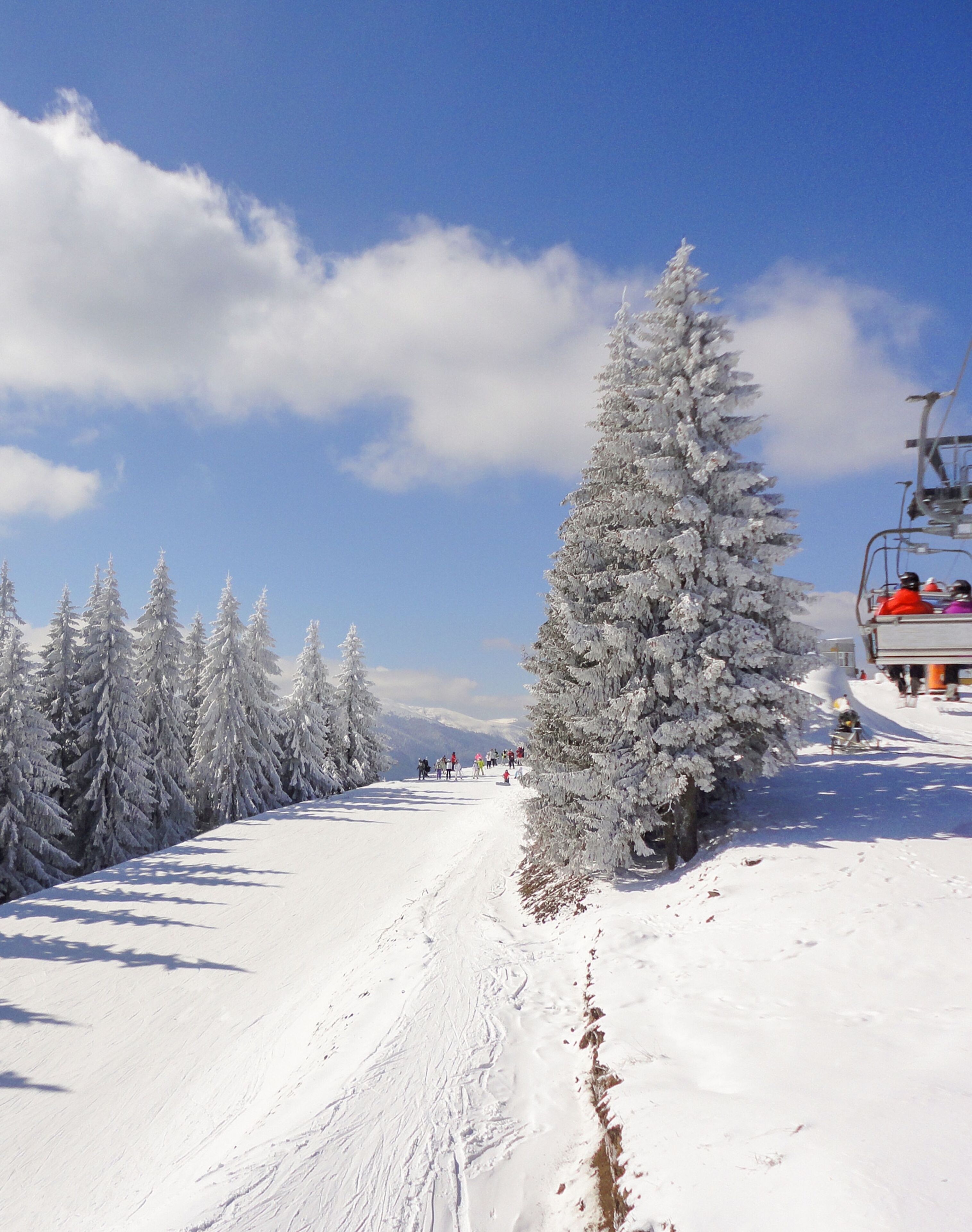 A snowy ski slope with a ski lift and snow-covered trees.