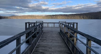 Cozy cabin with deck and fireplace steps from White Pond Lake. Dog friendly.