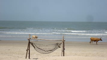 In Strandnähe, Liegestühle