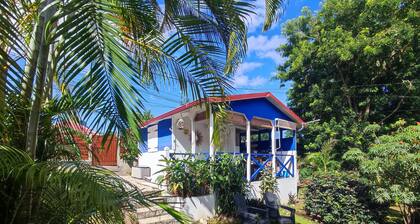 Charming bungalow TI SOLEY with swimming pool near Malendure awaits you 🌴☀️🌴