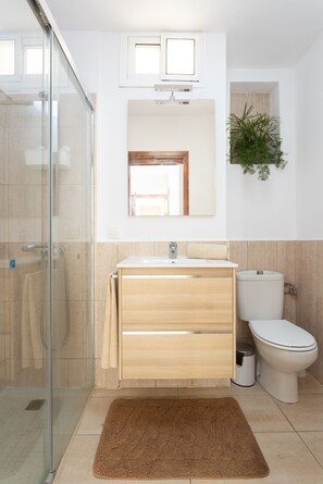 Shower, hair dryer, towels