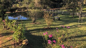 Un jardín tranquilo con un estanque, una valla de madera y diversas especies de árboles y arbustos.