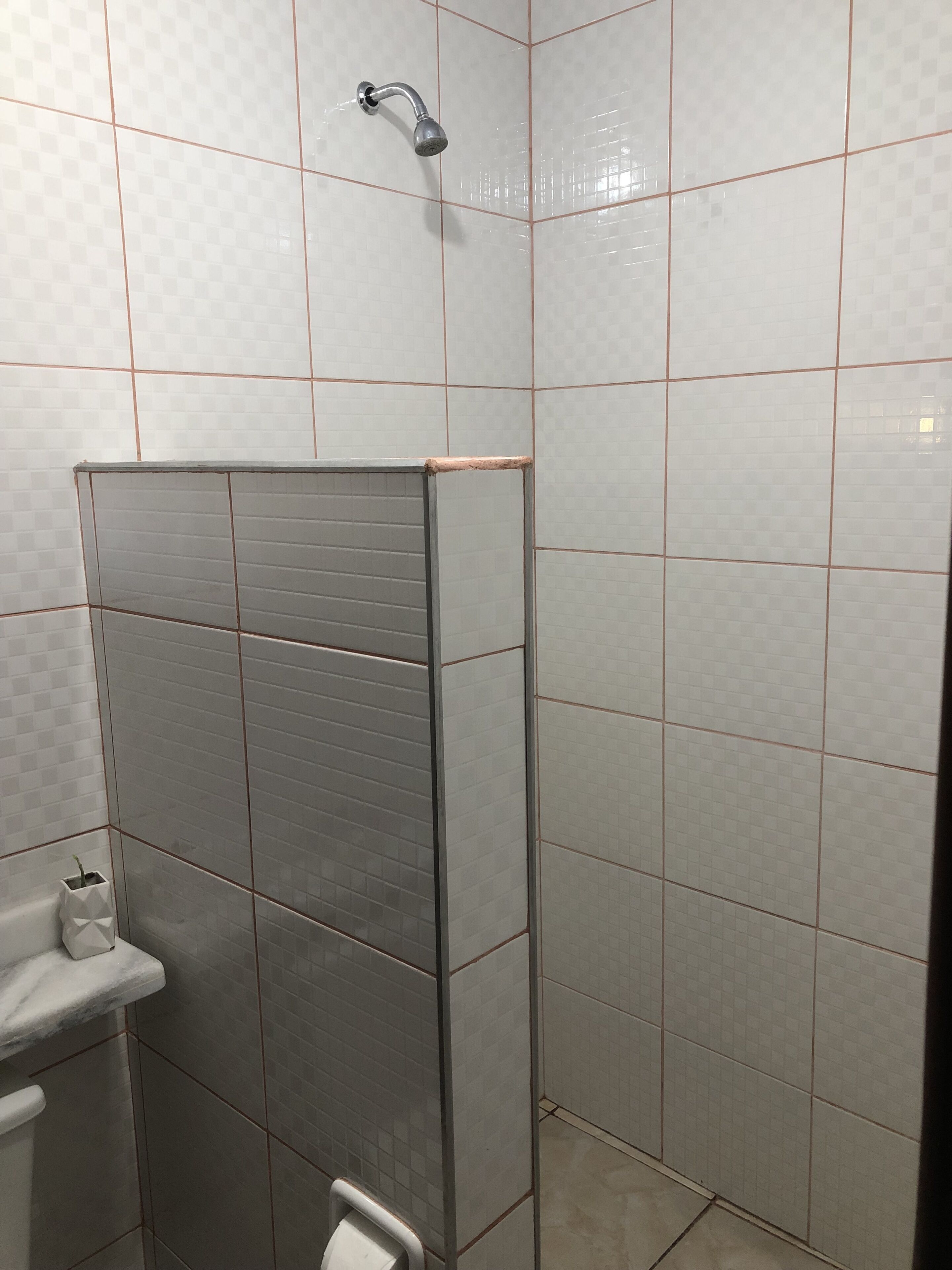 A tiled shower area with a handheld showerhead, a toilet, and a sink.