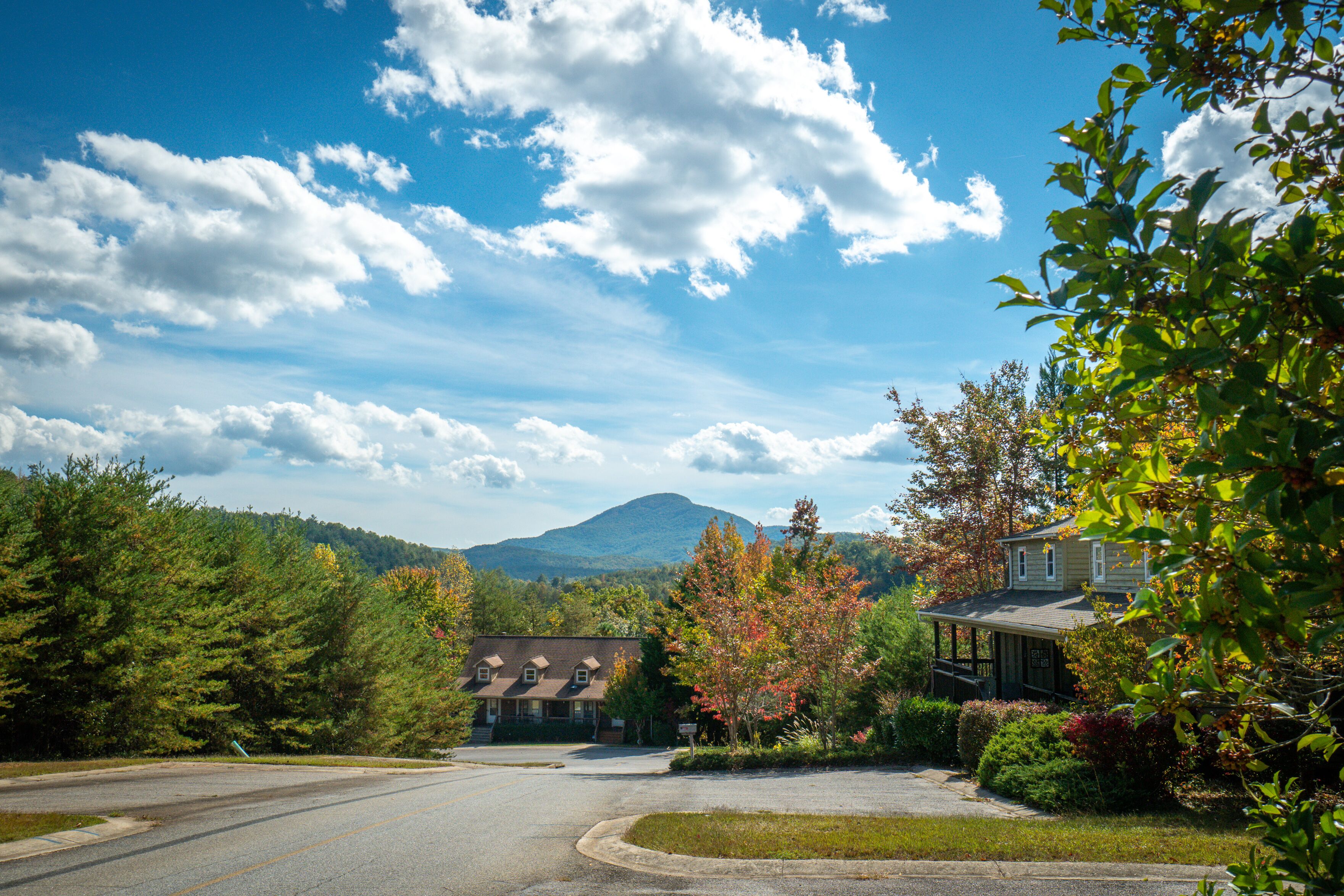 A two-story house with a front porch, surrounded by trees and a mountain in the background.
