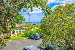 Enjoy ocean views from this beachfront property, surrounded by lush greenery and a well-maintained lawn.