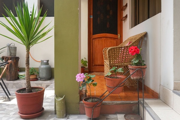 Detalle exterior