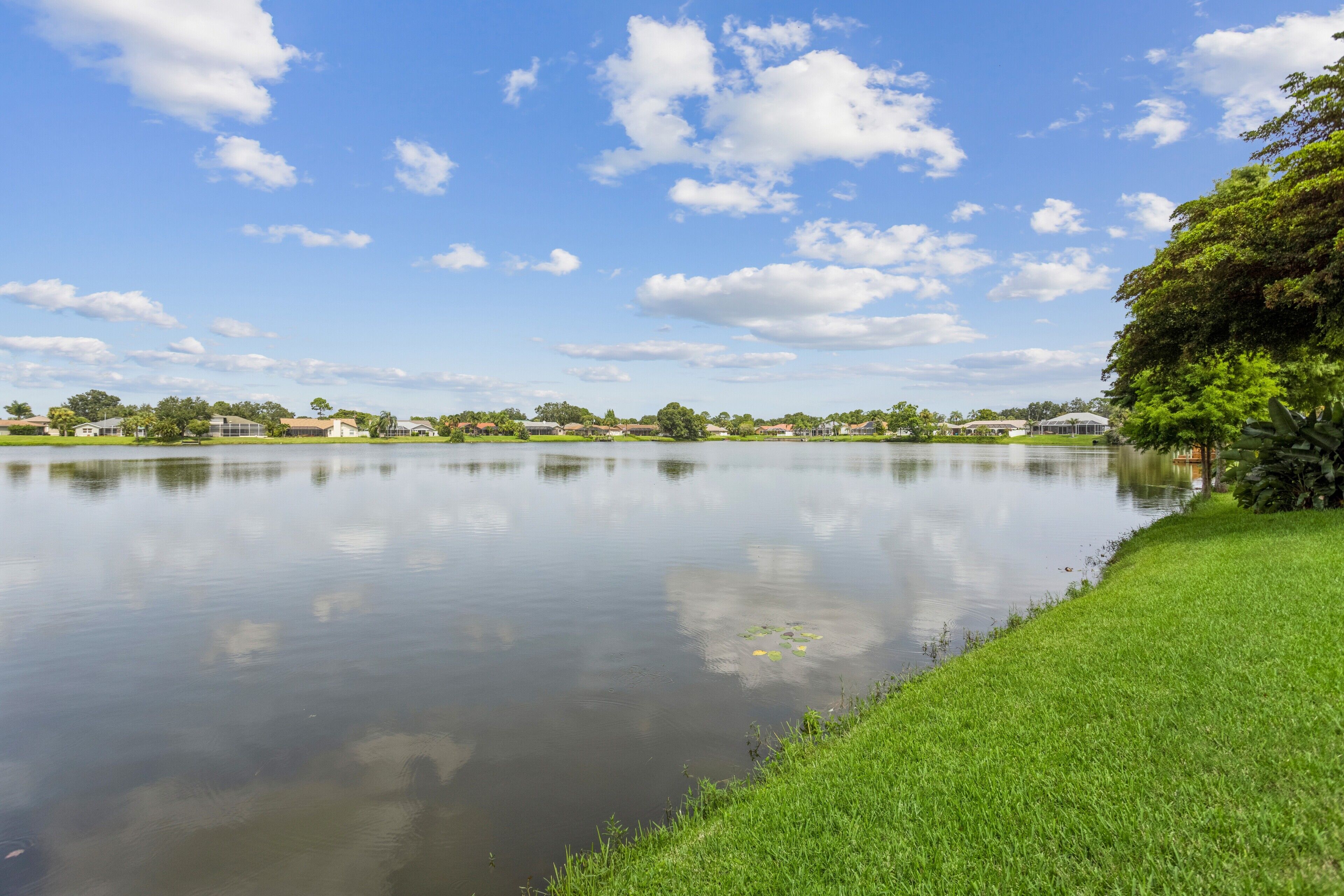 Ein ruhiger See mit einer grasbewachsenen Uferbank und blauem Himmel.