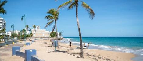 Una playa con palmeras, orilla arenosa y edificios al fondo.