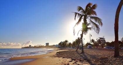 CS2- Stunning Historical with King Bed, High Ceilings & Open Spaces