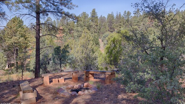 A campsite with wooden benches and a fire pit surrounded by trees. - Private Mountain Get-A-Way in the Pines (Show Low)