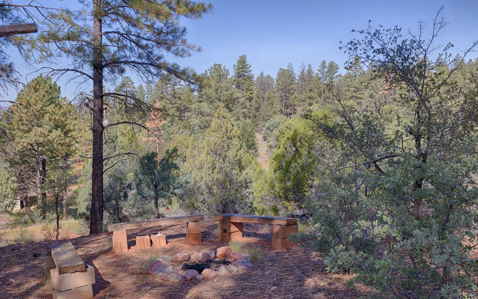 A campsite with wooden benches and a fire pit surrounded by trees.