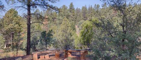 A campsite with wooden benches and a fire pit surrounded by trees.