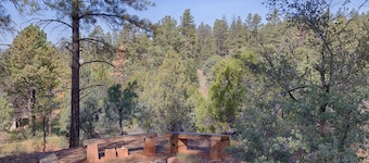 Private Mountain Get-A-Way in the Pines