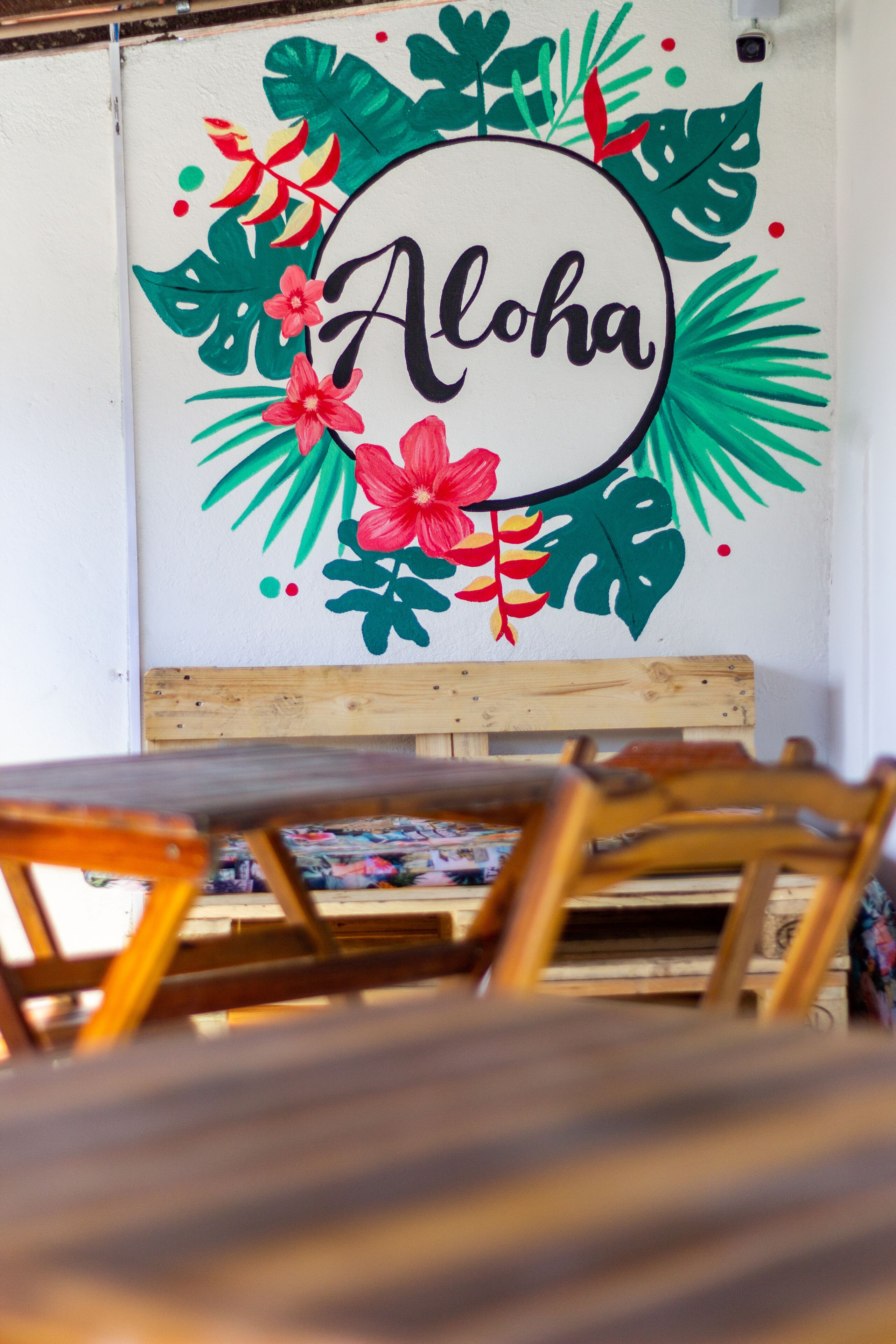 Foto - Aloha Hostel Pinhões