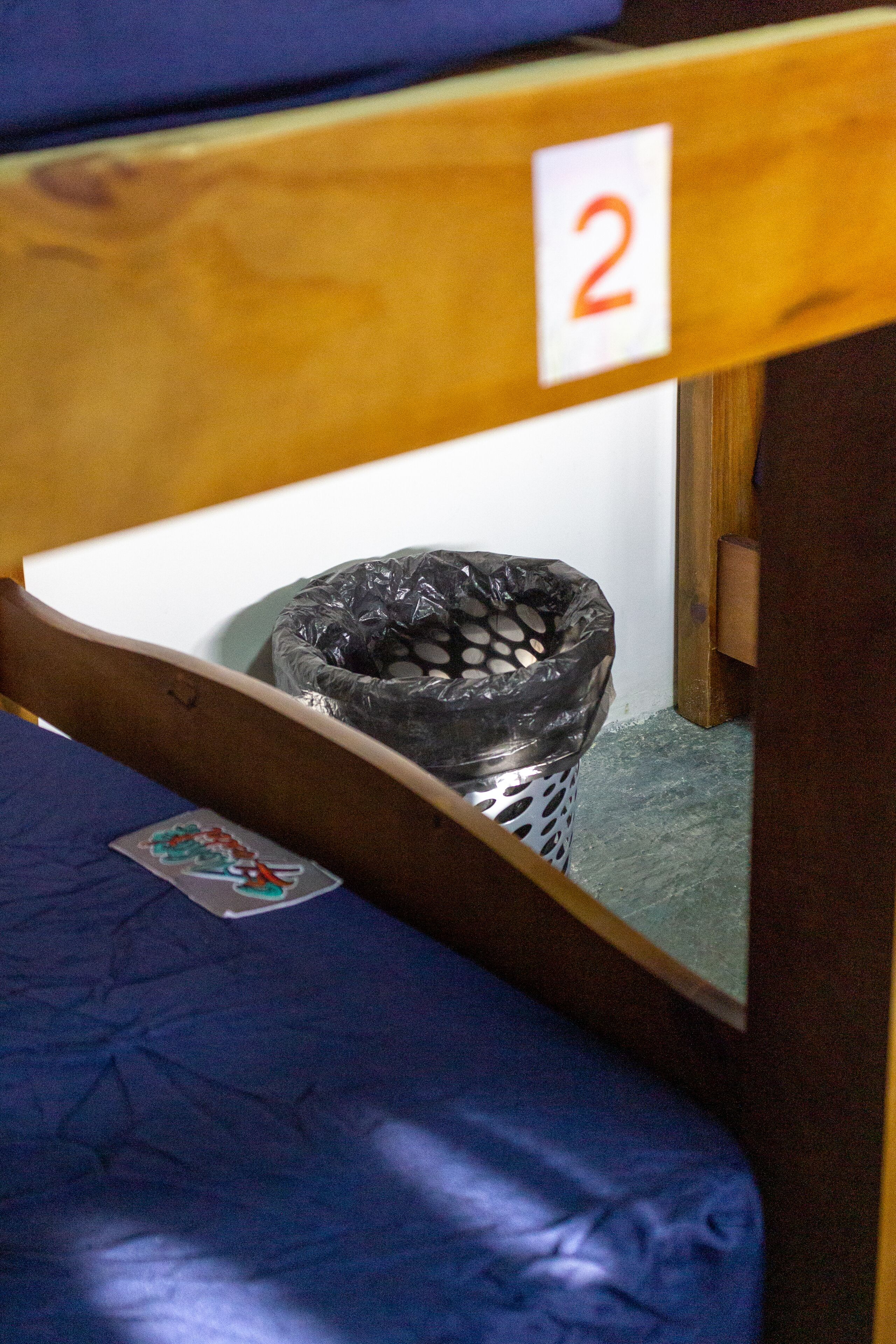 Foto - Aloha Hostel Pinhões