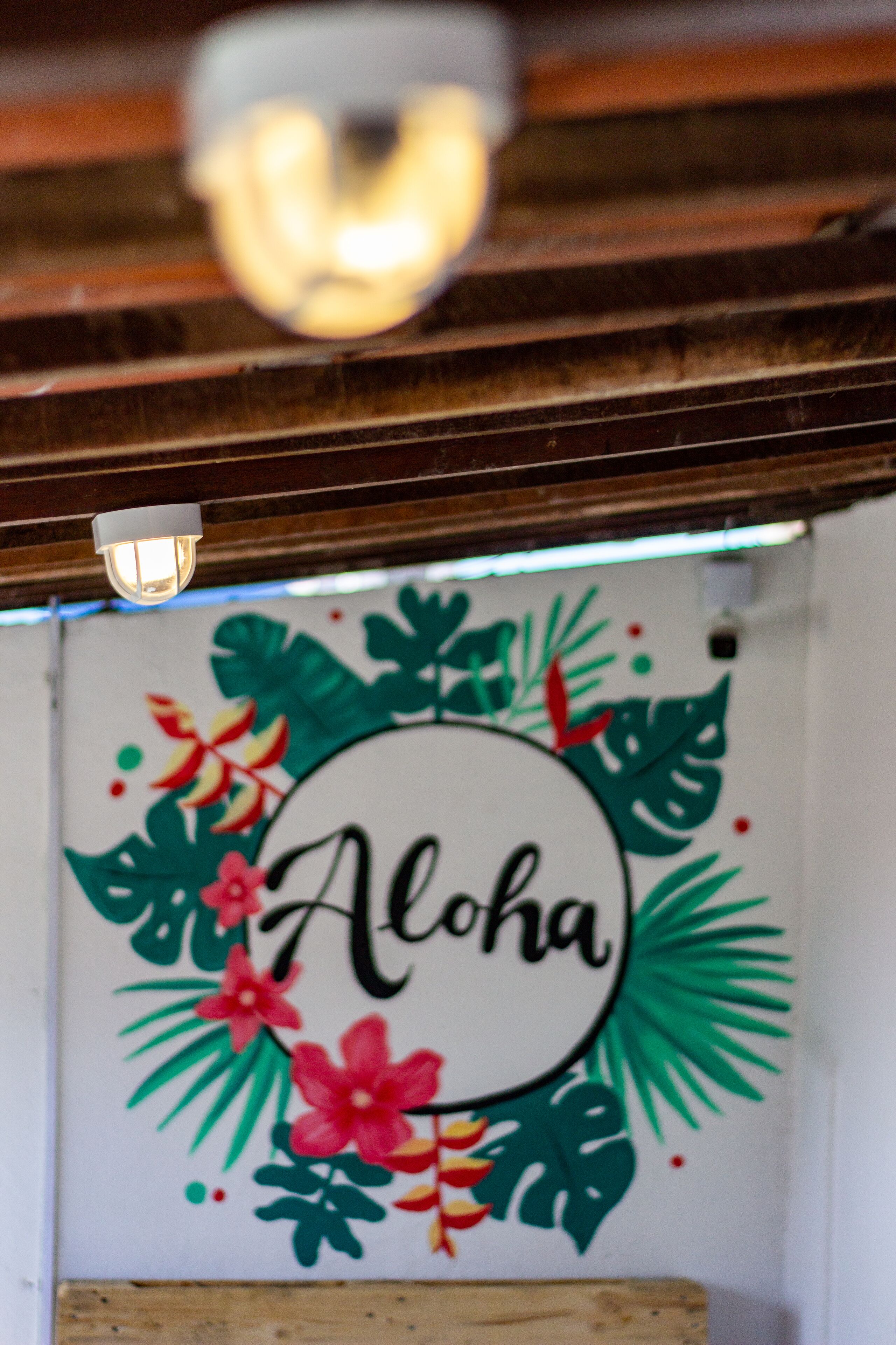 Foto - Aloha Hostel Pinhões
