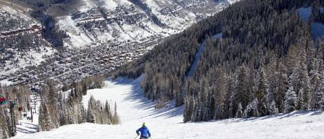 A ski slope with a skier, snow-covered trees, and a mountainous backdrop.