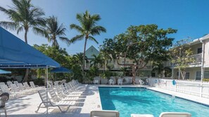 Piscina com espreguiçadeiras, palmeiras e um prédio com varandas.