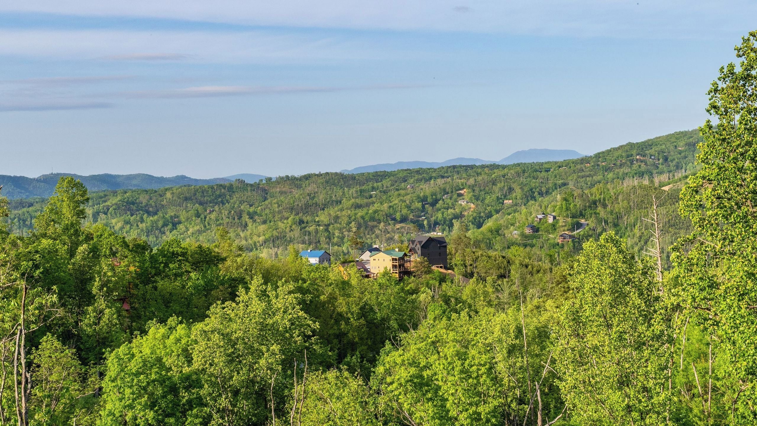 A forested area with buildings, including a cabin and a house with a green roof, surrounded by hills.